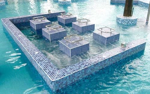 国产养生攻略博客